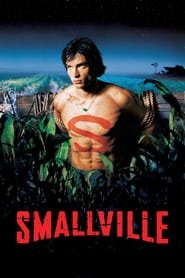 smallville - season 1 (2001) 