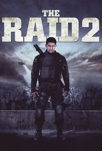 the raid 2 (2014)