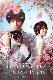 love like the falling petals (my dearest, like a cherry blossom) (2022)
